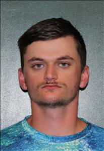 Austin Tyler Hendricks a registered Sex Offender of South Carolina