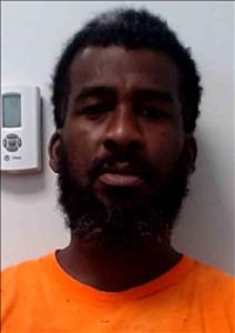 Travis Lamont Ray a registered Sex Offender of South Carolina
