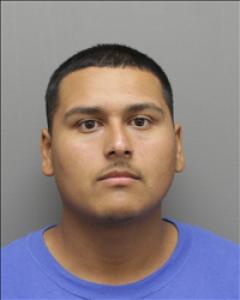 Marco Luis Rodriguez a registered Sex Offender of Texas