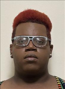 Elijah Christopher Thomas a registered Sex Offender of Georgia
