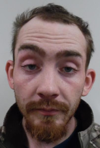 Dominic M Frost a registered Sex Offender of Vermont