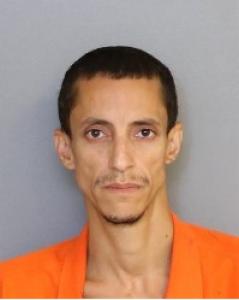 Joel Ahmmed Garcia Vizcarrondo a registered Sexual Offender or Predator of Florida