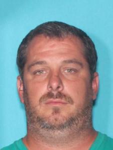 Wayne Arthur Land a registered Sexual Offender or Predator of Florida