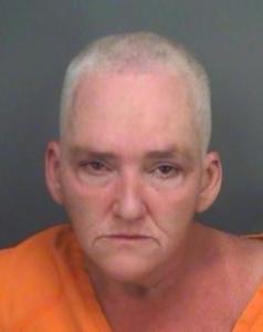 Ginger Renee Smalley a registered Sexual Offender or Predator of Florida