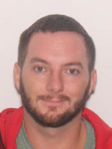 Daniel Patrick Williams a registered Sexual Offender or Predator of Florida