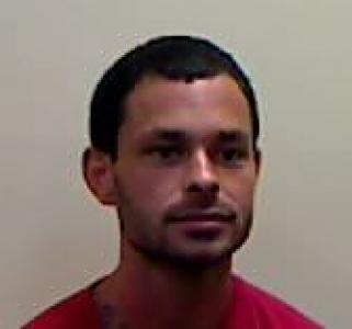 Brandon Michael Ervin a registered Sexual Offender or Predator of Florida