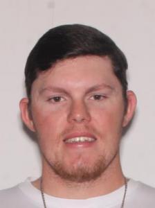 Thomas Aaron Williamson a registered Sexual Offender or Predator of Florida