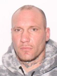 David Christopher Palmer a registered Sexual Offender or Predator of Florida