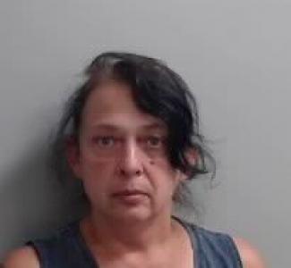 Shelley Diane Hawkins a registered Sexual Offender or Predator of Florida