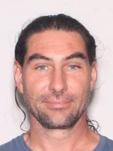 Harold Ray Alianell a registered Sexual Offender or Predator of Florida