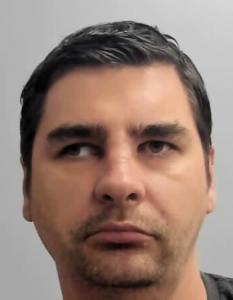 Dan Ionescu a registered Sexual Offender or Predator of Florida