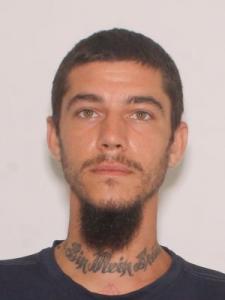 Nicholas J Desabatino a registered Sexual Offender or Predator of Florida