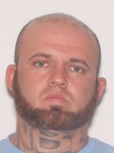 Brandon Lynn Cox a registered Sexual Offender or Predator of Florida