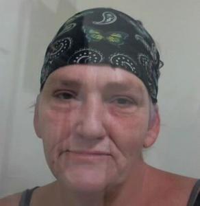 Ginger Renee Smalley a registered Sexual Offender or Predator of Florida