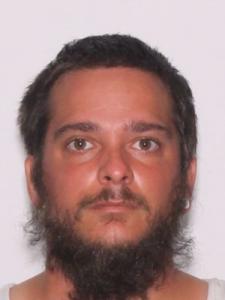 Edward Allen Ellis a registered Sexual Offender or Predator of Florida