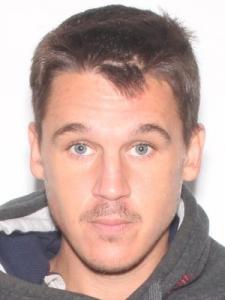 Ryan Richard Brizendine a registered Sexual Offender or Predator of Florida