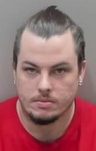 Travis Lee Collins a registered Sexual Offender or Predator of Florida