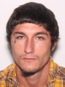 James Wayne Leavine a registered Sexual Offender or Predator of Florida