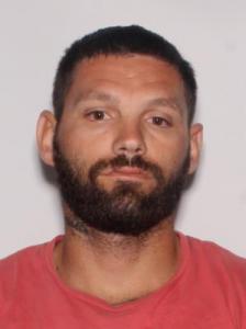 Tyler Aaron Wood a registered Sexual Offender or Predator of Florida