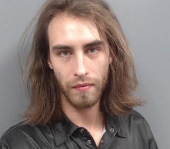Brandon Lee Jacob Romagnolo a registered Sexual Offender or Predator of Florida