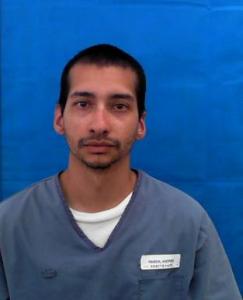 Andres Javier Ramos Irizarry a registered Sexual Offender or Predator of Florida