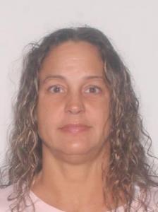 Elizabeth Briana Boully Heslin a registered Sexual Offender or Predator of Florida