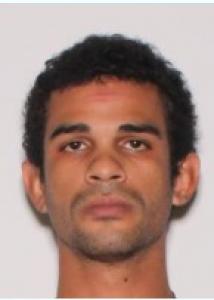 Bryan Jose Rodriguez Nieves a registered Sexual Offender or Predator of Florida