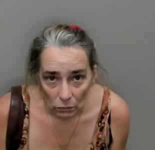 Elizabeth Ann Marvin-counts a registered Sexual Offender or Predator of Florida