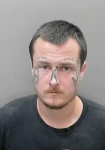 Christopher Lee Henry a registered Sexual Offender or Predator of Florida