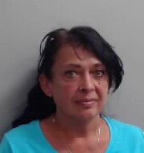 Shelley Diane Hawkins a registered Sexual Offender or Predator of Florida