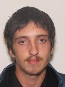 Cheyenne Fritz Carter a registered Sexual Offender or Predator of Florida