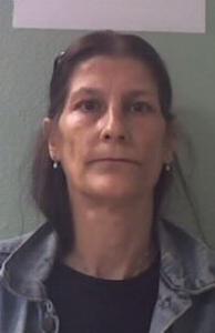 Lisa Marie Cunningham a registered Sexual Offender or Predator of Florida