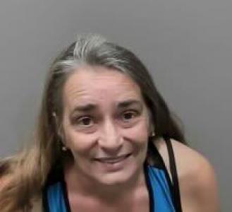 Elizabeth Ann Marvin-counts a registered Sexual Offender or Predator of Florida