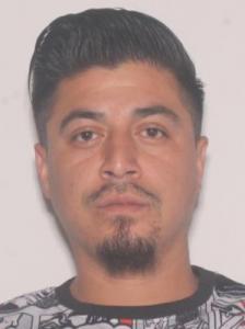 Mike Stanley Flores a registered Sexual Offender or Predator of Florida