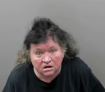 Mary Ann Bass a registered Sexual Offender or Predator of Florida