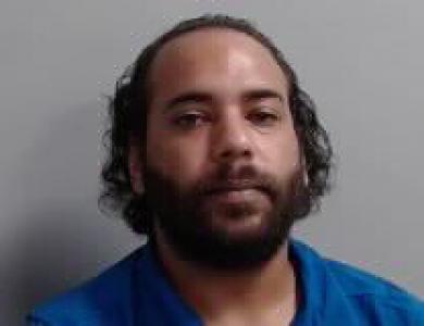 Elvin Rafael Torres Delgado a registered Sexual Offender or Predator of Florida