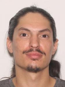 Steven David Robert Mandzuk a registered Sexual Offender or Predator of Florida