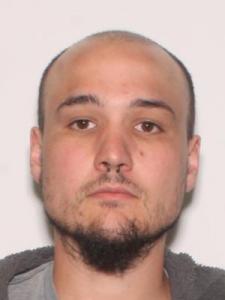 Tyler James Aaron Harris a registered Sexual Offender or Predator of Florida