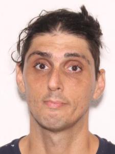 Brian Karl Reinfandt a registered Sexual Offender or Predator of Florida