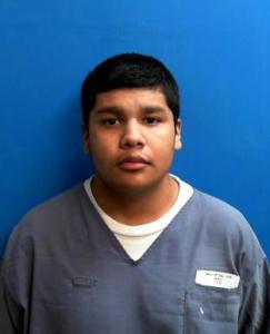 Luis Antonio Nava-ortega a registered Sexual Offender or Predator of Florida