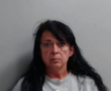 Shelley Diane Hawkins a registered Sexual Offender or Predator of Florida