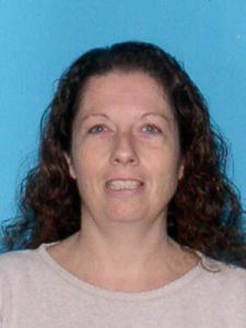 Susan Leannn Williamson a registered Sexual Offender or Predator of Florida