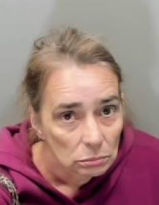 Elizabeth Ann Marvin-counts a registered Sexual Offender or Predator of Florida