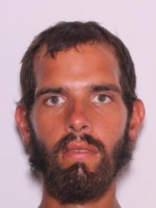 David Austin Elixson a registered Sexual Offender or Predator of Florida