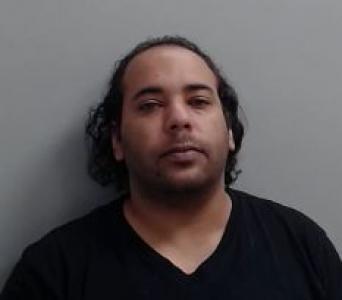 Elvin Rafael Torres Delgado a registered Sexual Offender or Predator of Florida