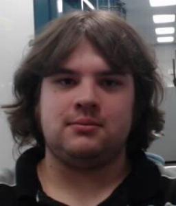 Ashten Kayne Henderson a registered Sexual Offender or Predator of Florida