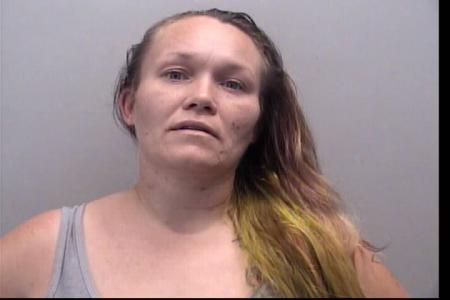 Lydiane Michelle Presson a registered Sexual Offender or Predator of Florida