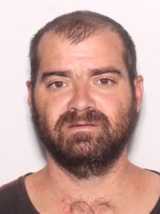 Christopher Shane Robertson a registered Sexual Offender or Predator of Florida