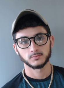 Wesley Logan Bertrand a registered Sexual Offender or Predator of Florida