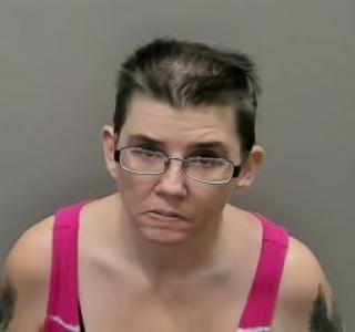 Carrie Ellen Peterson a registered Sexual Offender or Predator of Florida